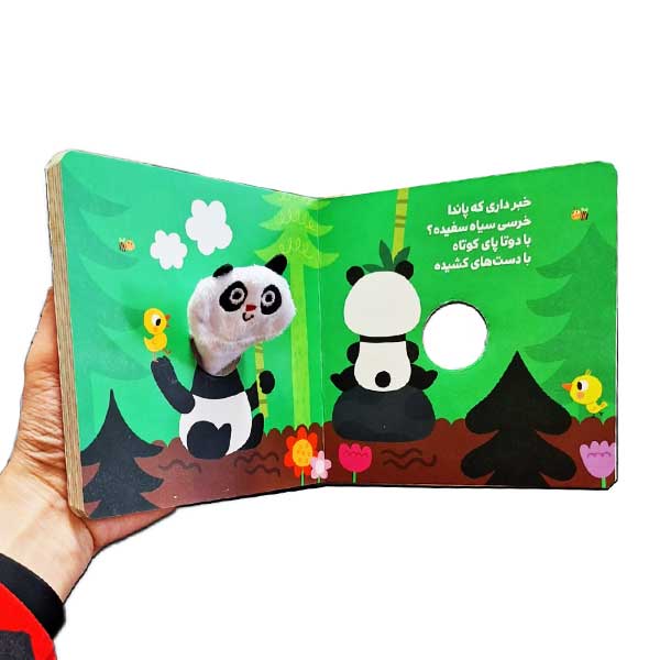 خبر داری که پاندا روی درخت می خوابه؟