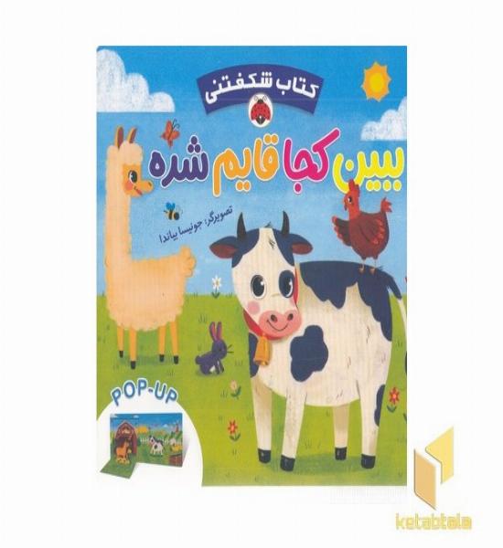 کتاب شکفتنی-ببین کجا قایم شده