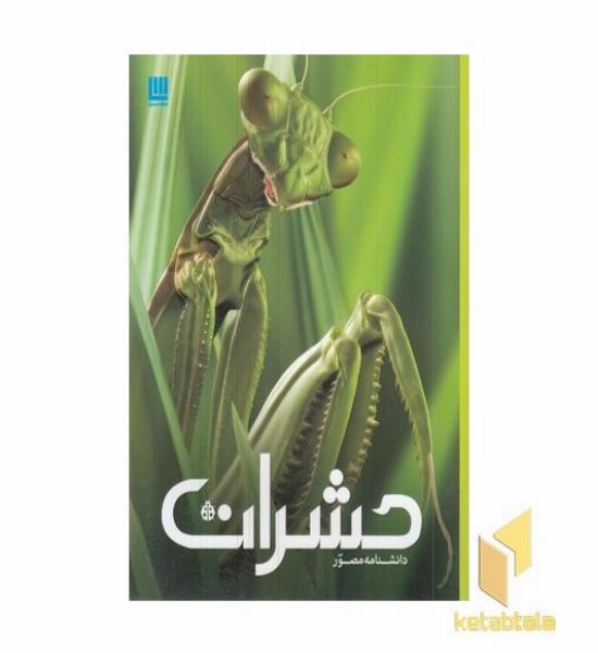 دانشنامه مصور حشرات