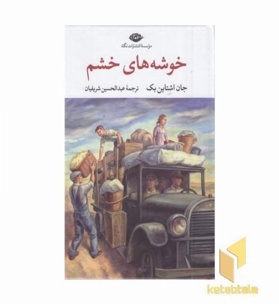 خوشه های خشم