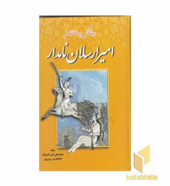 امیر ارسلان نامدار