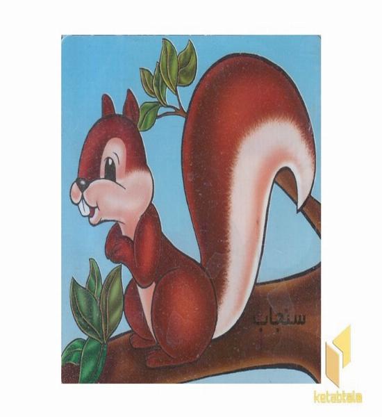 آموزش خردسالان-سنجاب