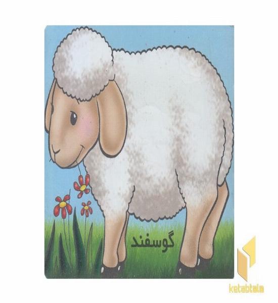 آموزش خردسال-گوسفند