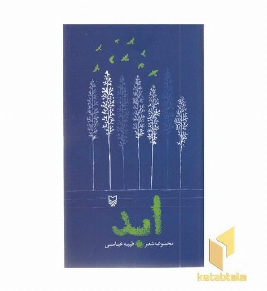 ابد