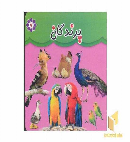 مقوایی 7-پرندگان