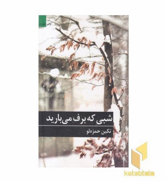 شبی که برف می بارید