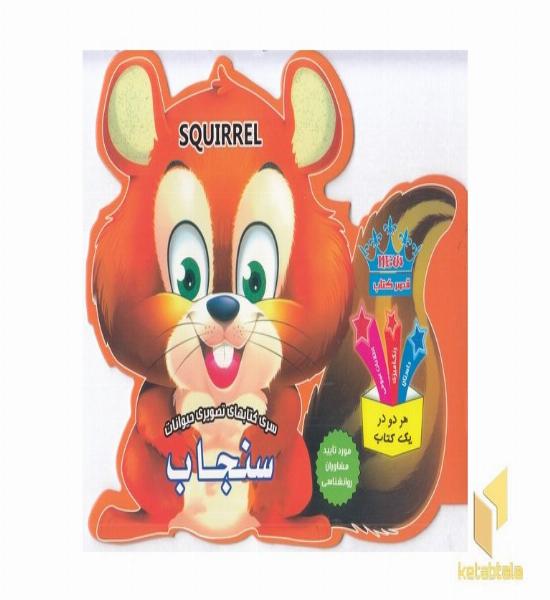 کتاب تصویری حیوانات-سنجاب