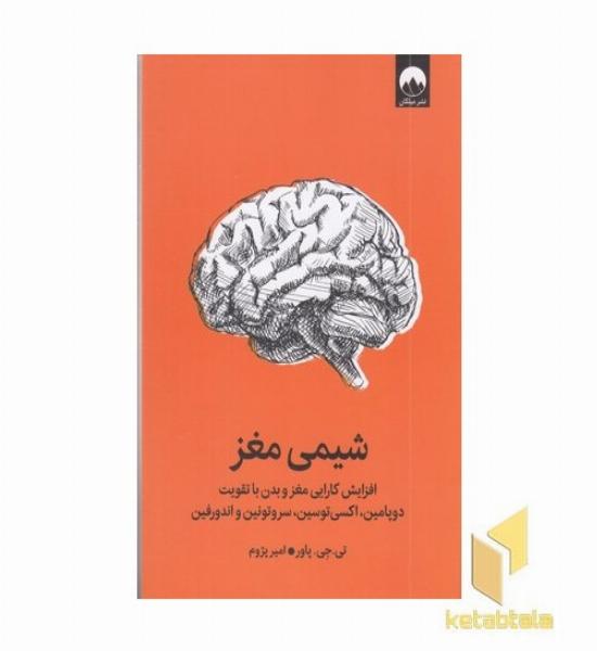 شیمی مغز
