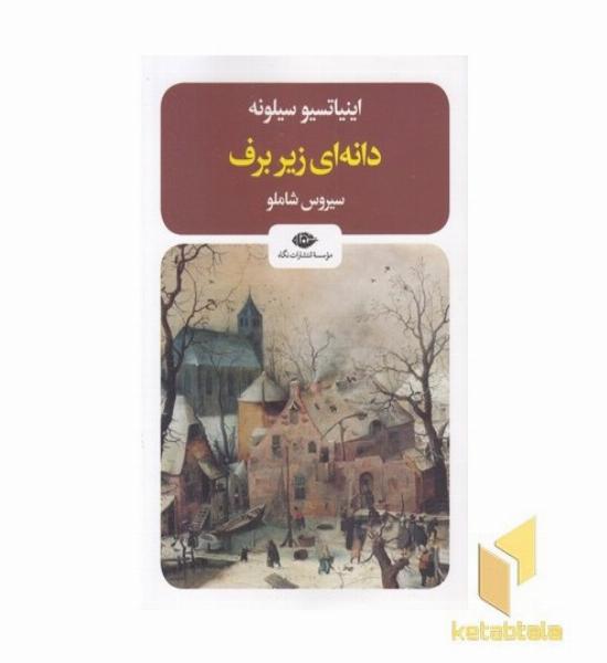دانه زیر برف