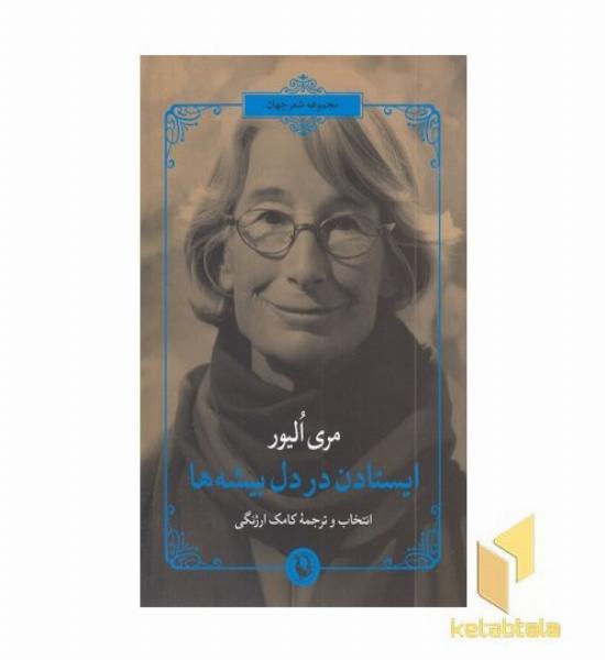 ایستادن در دل بیشه ها