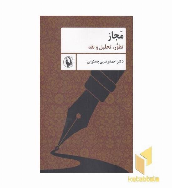 مجاز تطوّر، تحلیل و نقد