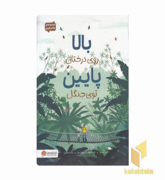 بالا و پایین-بالا روی درختان پایین توی جنگل
