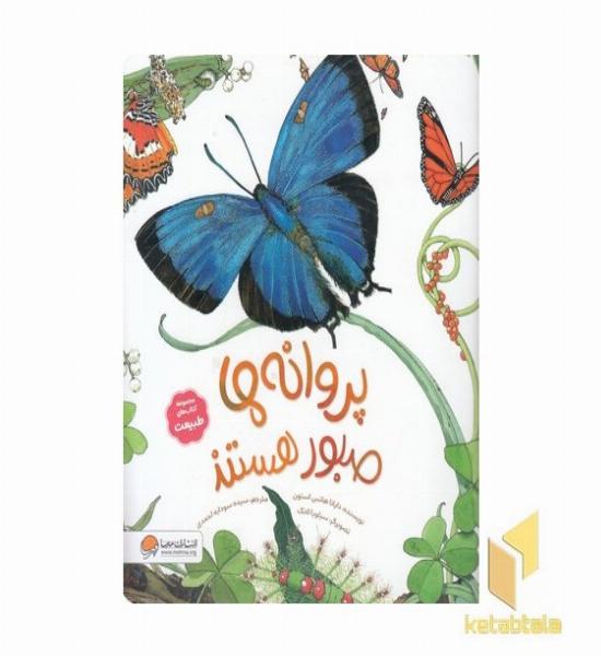 طبیعت-پروانه ها صبور هستند