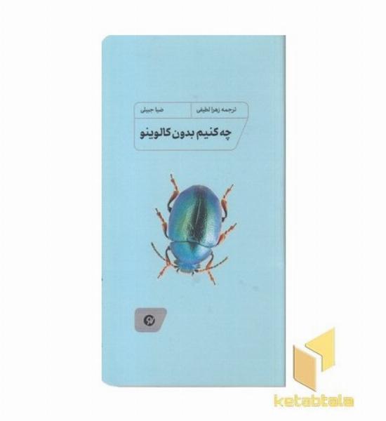 چه کنیم بدون کالوینو