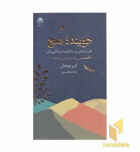جوینده هیچ