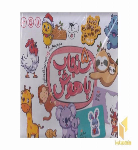 سنجاب باهوش 5-آموزش حیوانات اهلی ووحشی