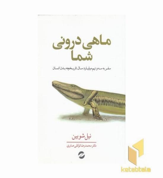 ماهی درونی شما