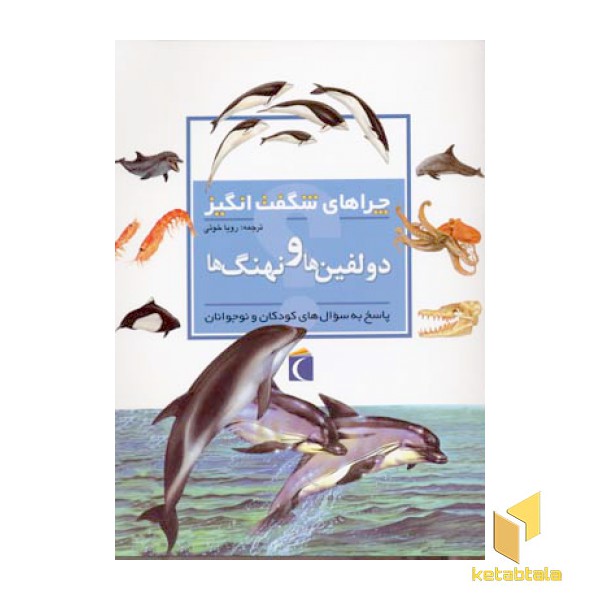 چراهای شگفت انگیز - دلفین ها و نهنگ ها