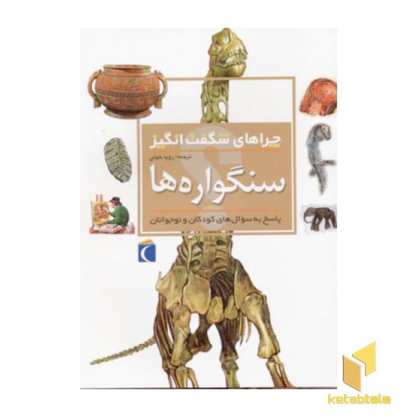 چرا های شگفت انگیز (سنگواره ها)