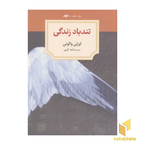 تندباد زندگی