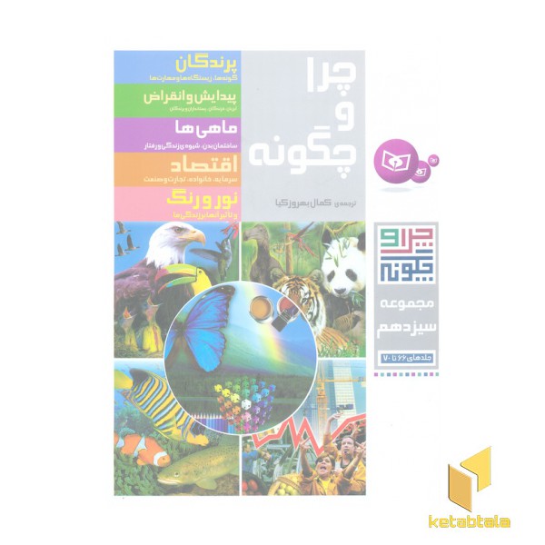 مجموعه13-چرا و چگونه