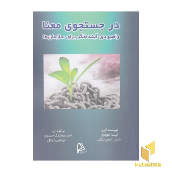 درجستجوی معنا راهبردی آینده نگر برای سازمان ها