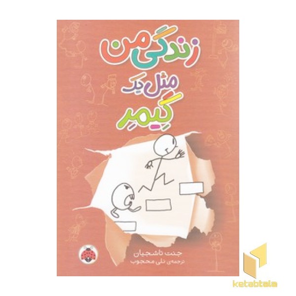 زندگی من مثل یک گیمر