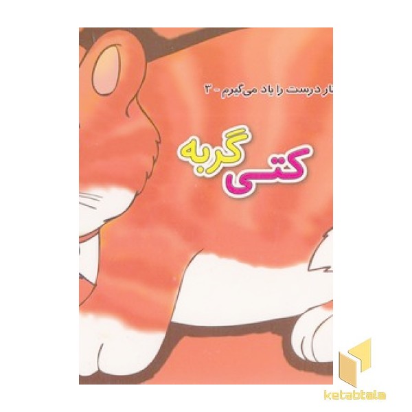 رفتار درست را یاد می گیرم 3 - کتی گربه