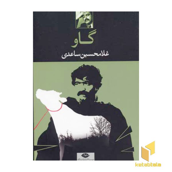 گاو