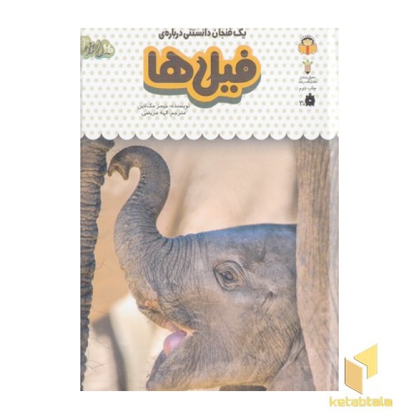 یک فنجان دانستنی درباره ی 6-فیل ها