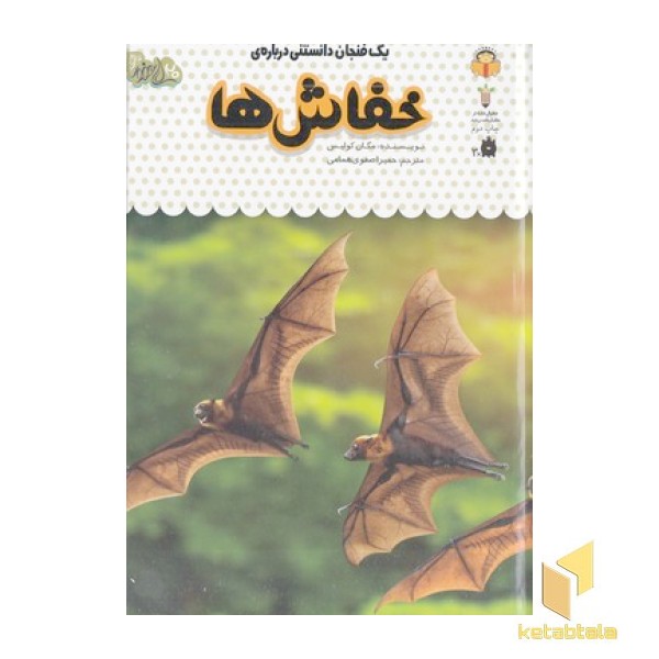 یک فنجان دانستنی درباره ی 7-خفاش ها