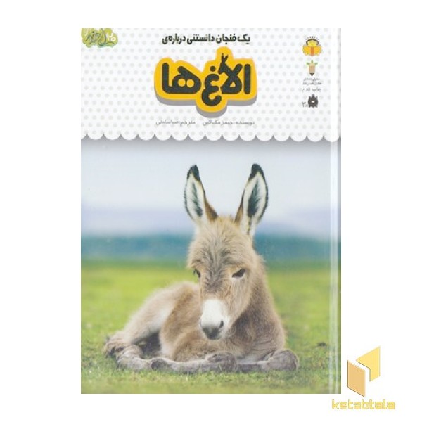 یک فنجان دانستنی درباره ی 15-الاغ ها