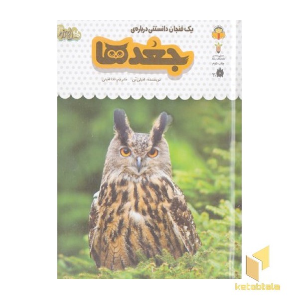 یک فنجان دانستنی درباره ی 11-جغدها