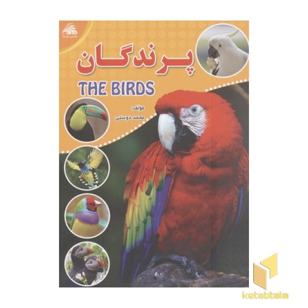 پرندگان