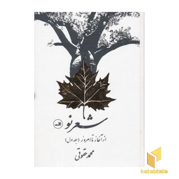 شعر نو از آغاز تا امروز