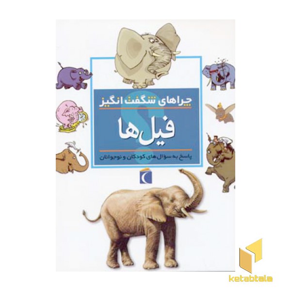 چراهای شگفت انگیز - فیل ها