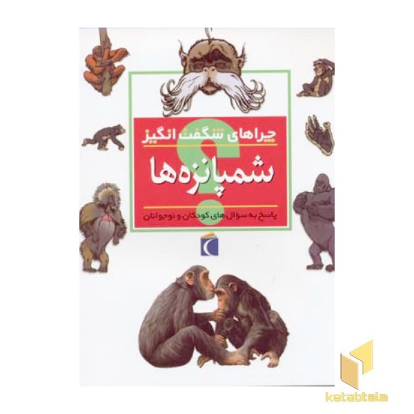 چراهای شگفت انگیز - شمپانزه ها