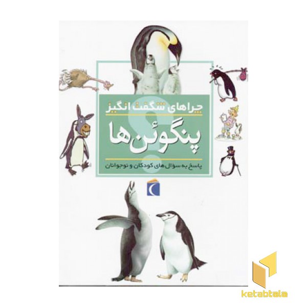 چراهای شگفت انگیز - پنگوئن ها