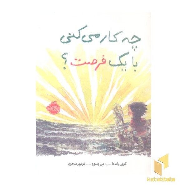 چه کار می کنی با یک فرصت؟