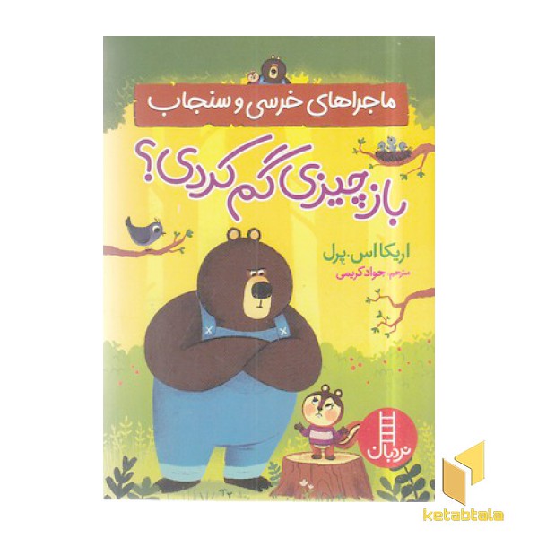 ماجراهای خرسی و سنجاب-باز چیزی گم کردی؟
