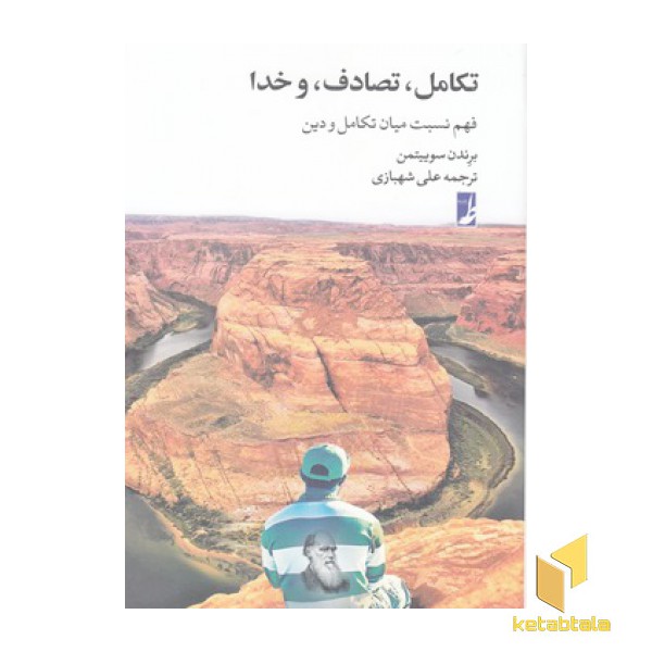 تکامل، تصادف و خدا