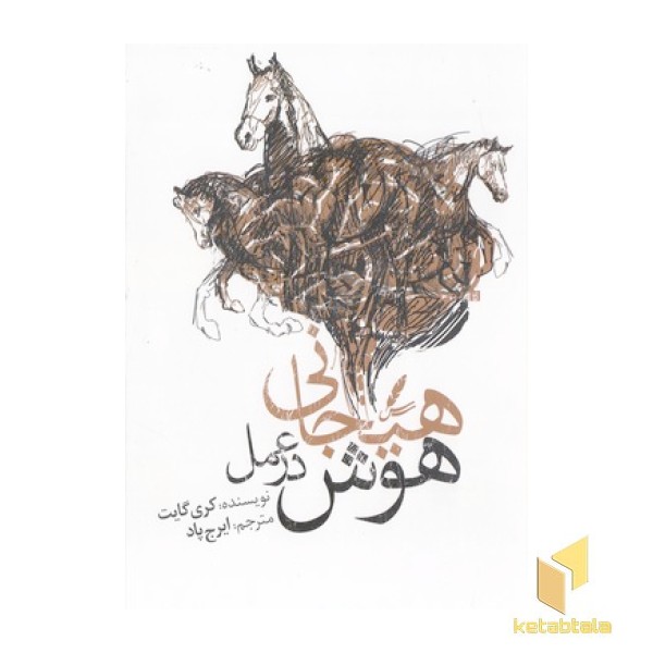 هوش هیجانی در عمل