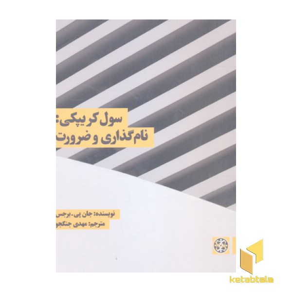 سول کریپکی: نام گذاری و ضرورت