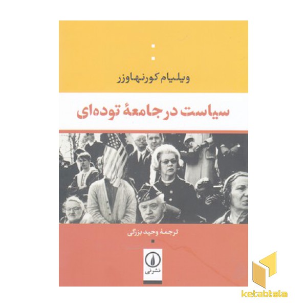 سیاست در جامعه توده ای