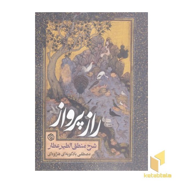 راز پرواز