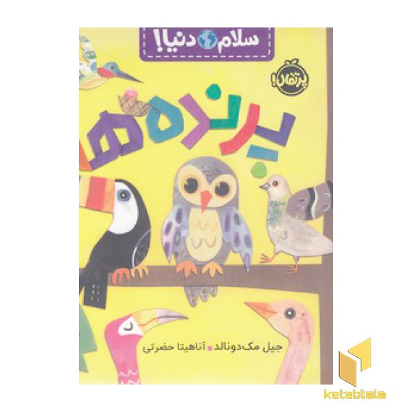 سلام دنیا!-پرنده ها
