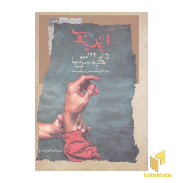 آینه مینوی در مجلس انس