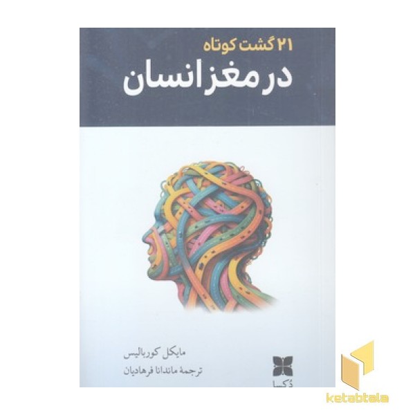 21 گشت کوتاه در مغز انسان