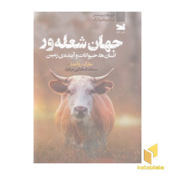جهان شعله ور