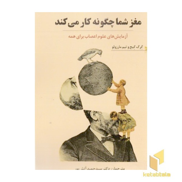 مغز شما چگونه کار می کند